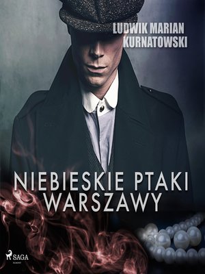 cover image of Niebieskie Ptaki Warszawy